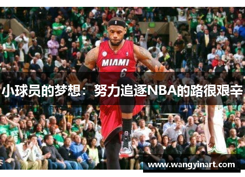 小球员的梦想：努力追逐NBA的路很艰辛
